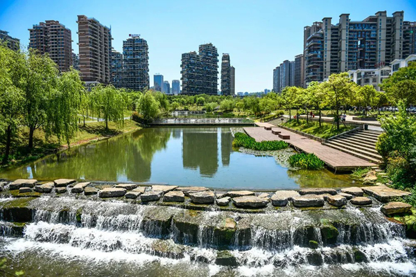 600-2 水清岸绿的湿地公园.jpg